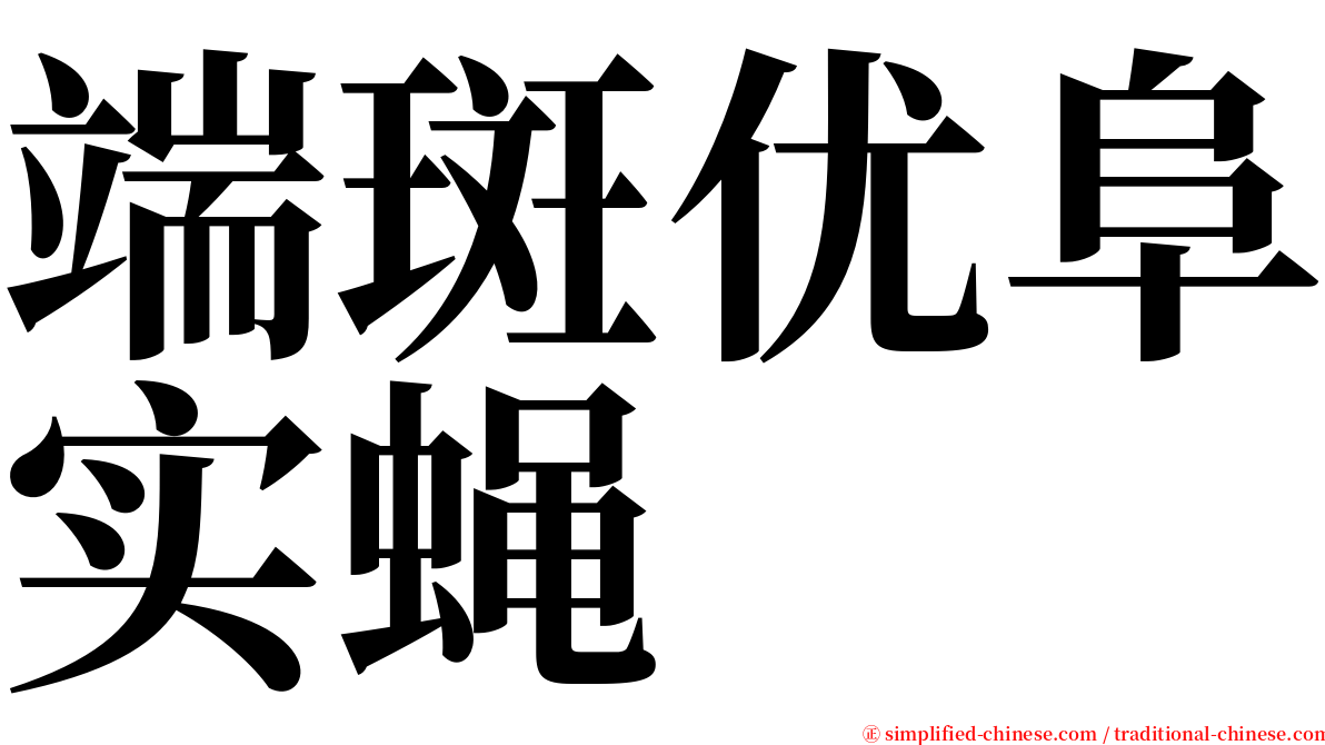 端斑优阜实蝇 serif font
