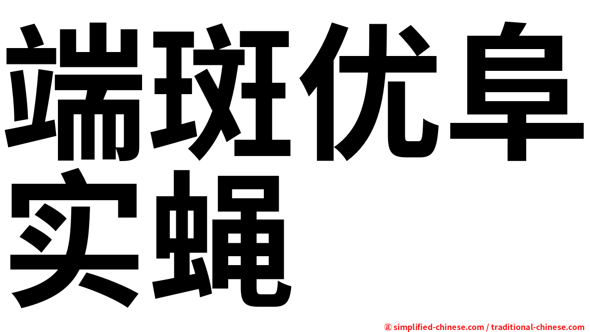 端斑优阜实蝇