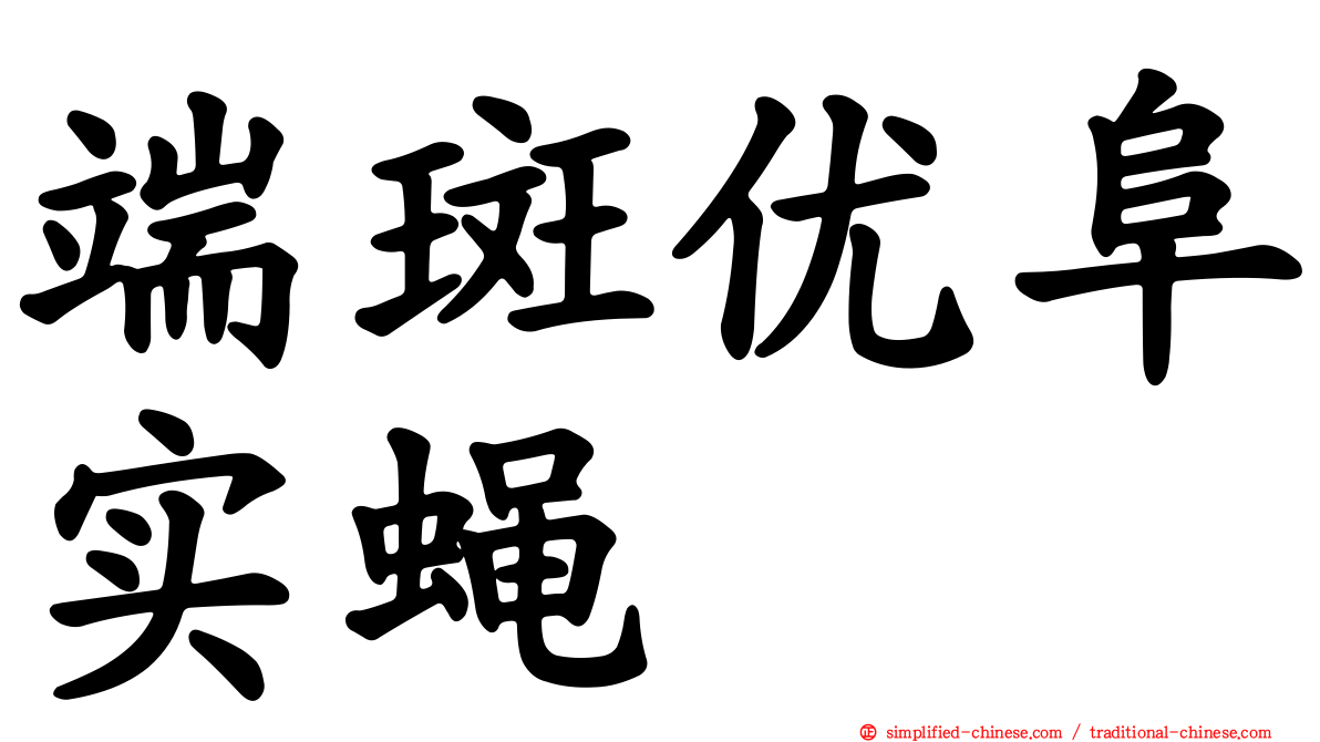 端斑优阜实蝇