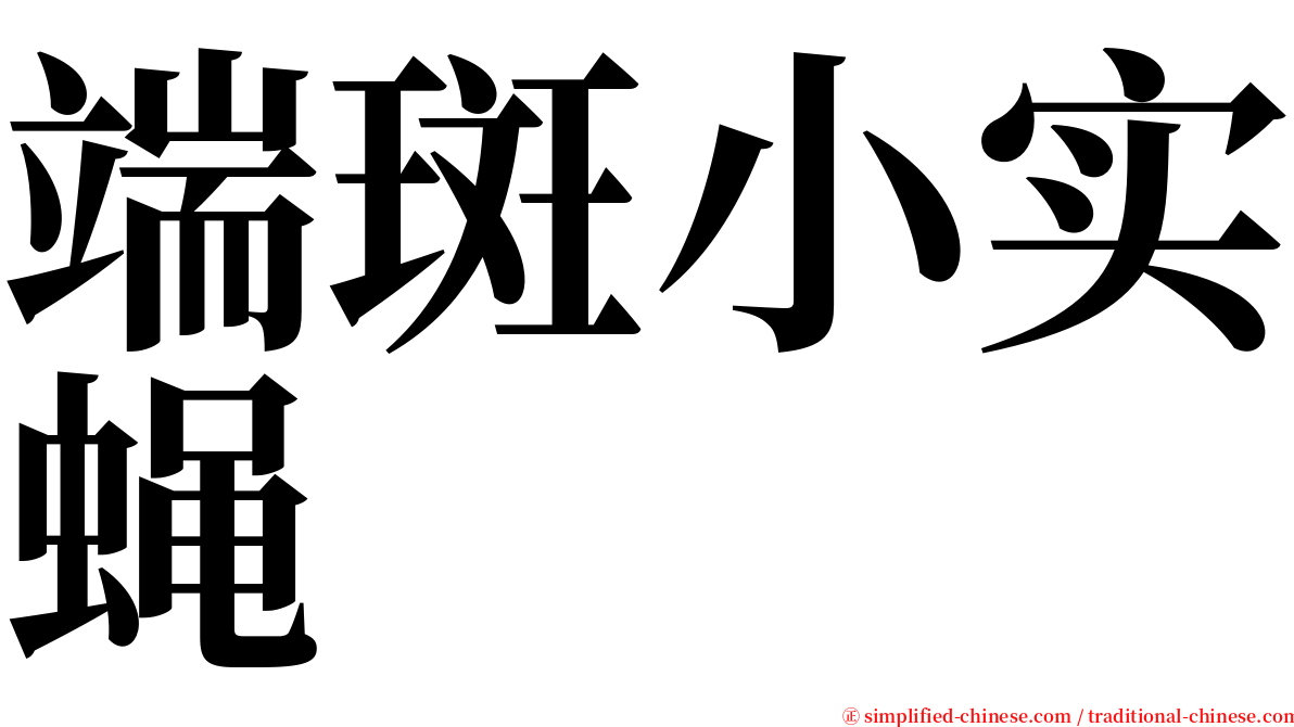 端斑小实蝇 serif font