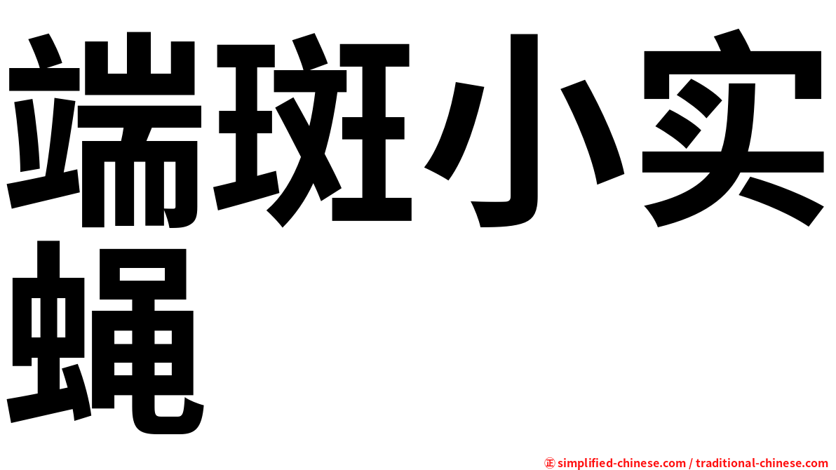 端斑小实蝇