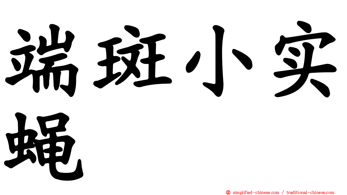 端斑小实蝇
