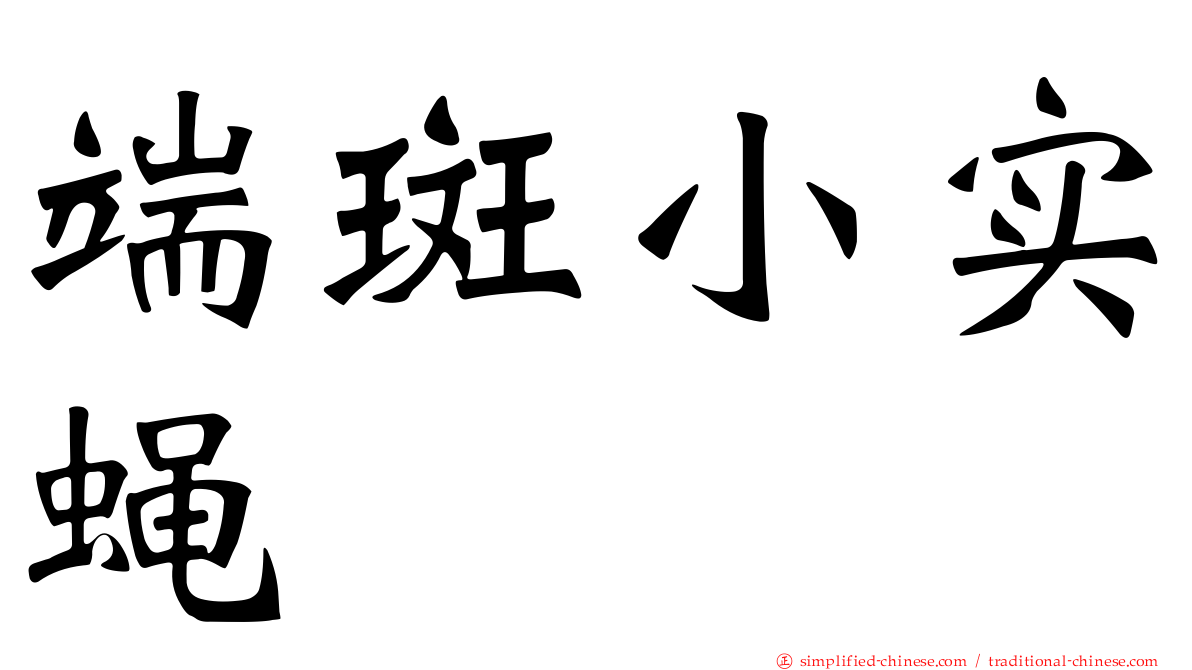 端斑小实蝇