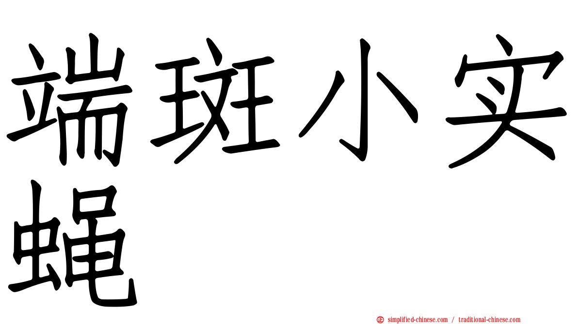 端斑小实蝇