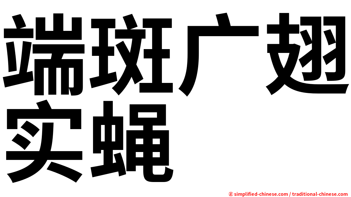 端斑广翅实蝇