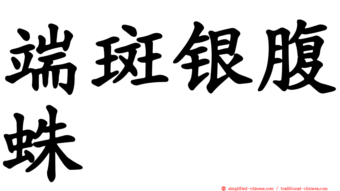 端斑银腹蛛