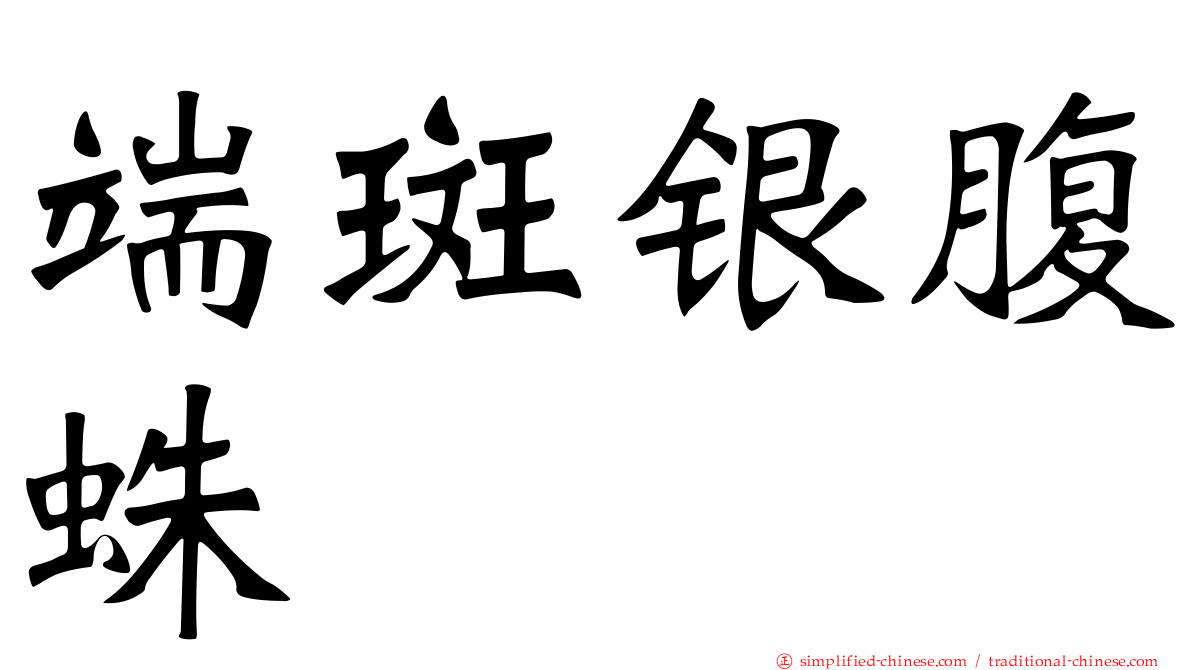 端斑银腹蛛