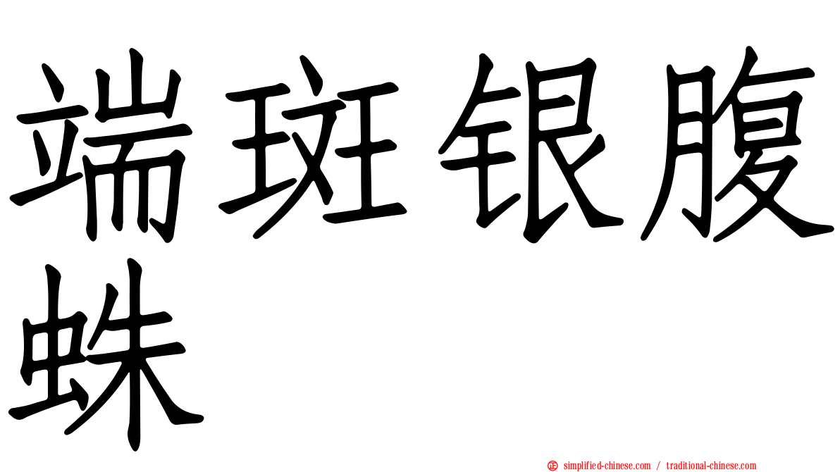 端斑银腹蛛