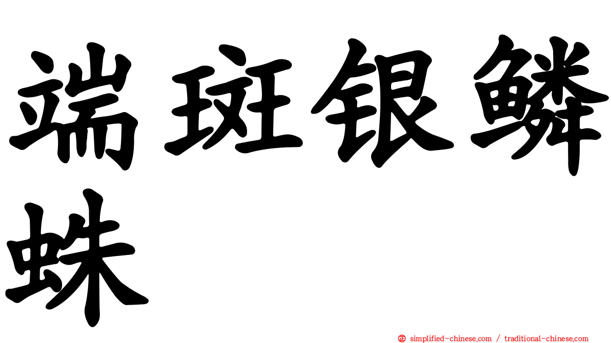 端斑银鳞蛛