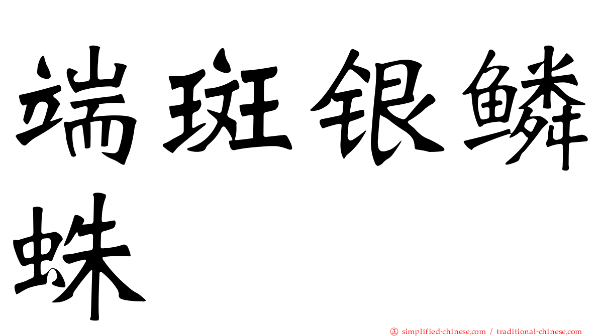 端斑银鳞蛛