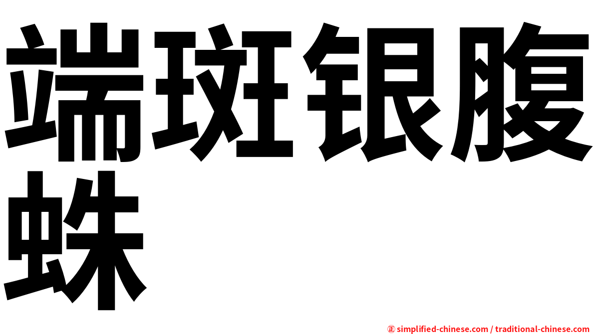 端斑银腹蛛
