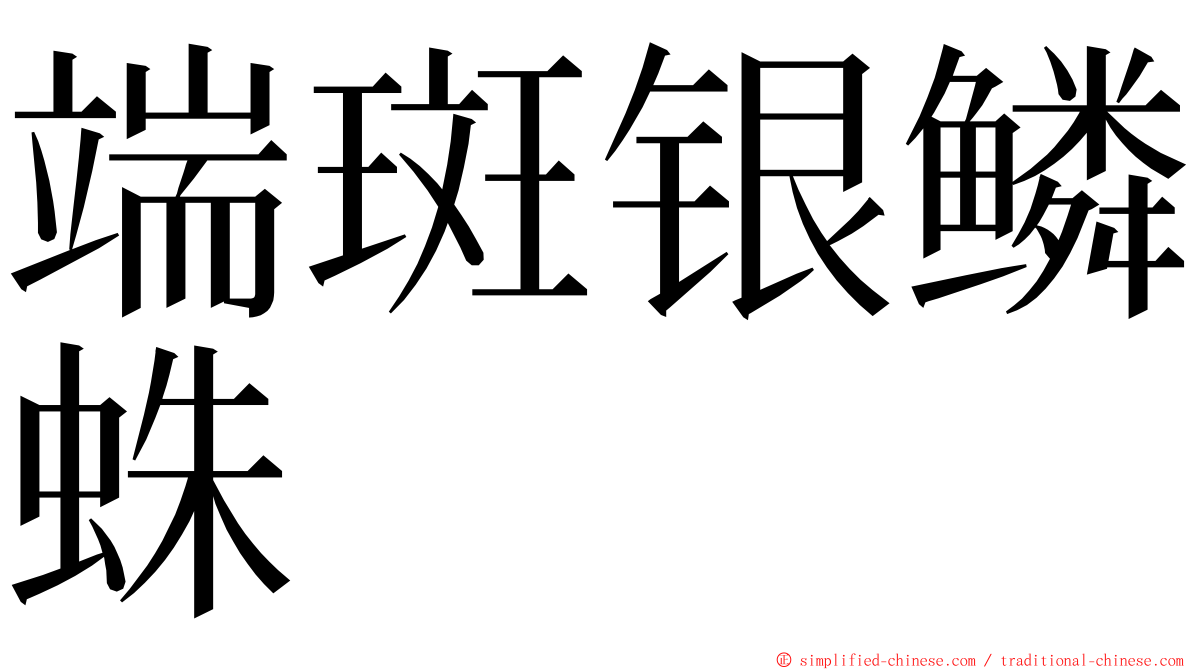 端斑银鳞蛛 ming font