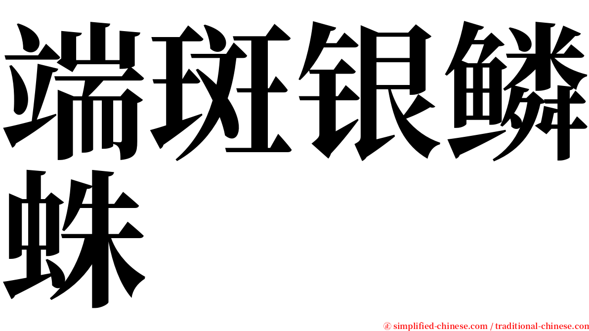 端斑银鳞蛛 serif font