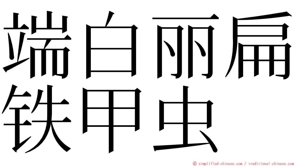 端白丽扁铁甲虫 ming font
