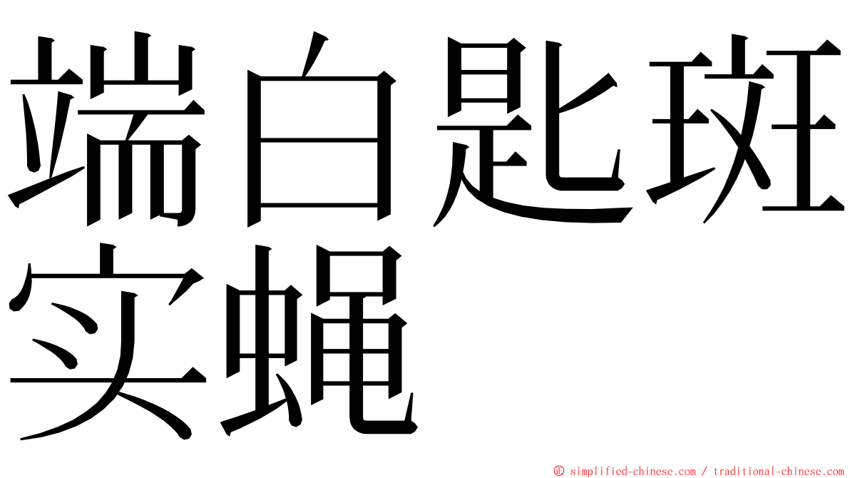 端白匙斑实蝇 ming font