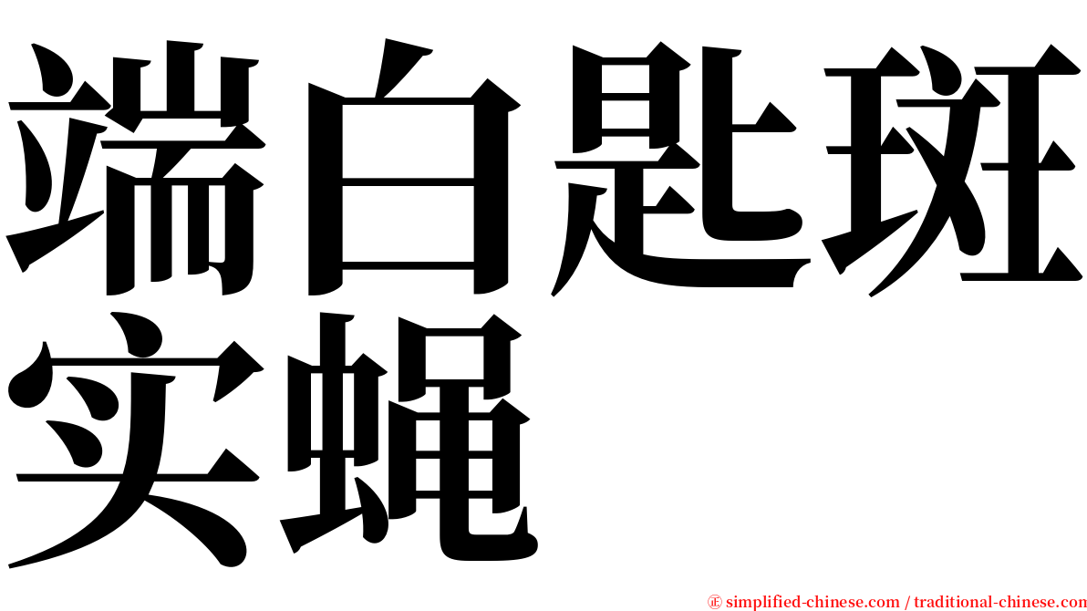端白匙斑实蝇 serif font