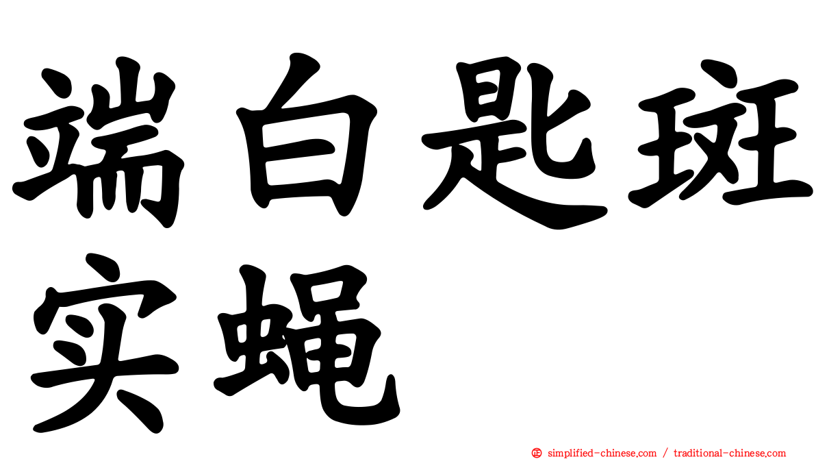 端白匙斑实蝇