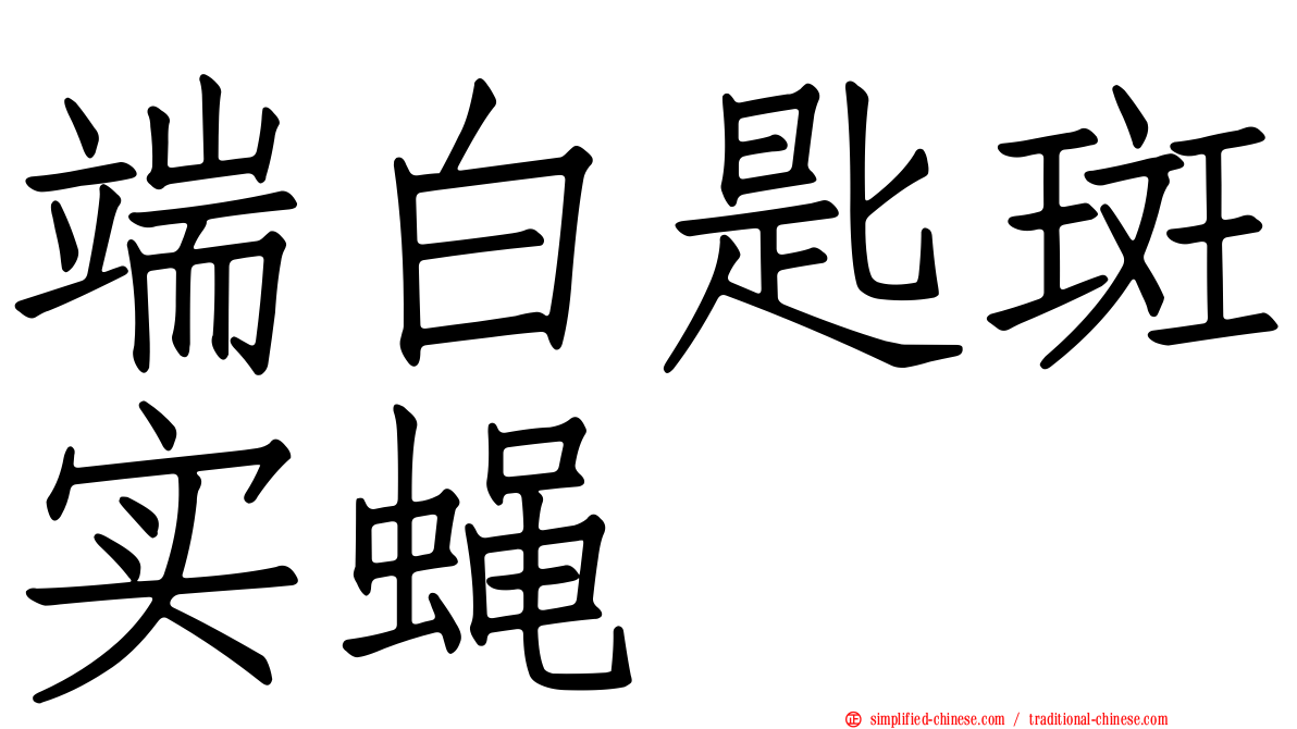 端白匙斑实蝇