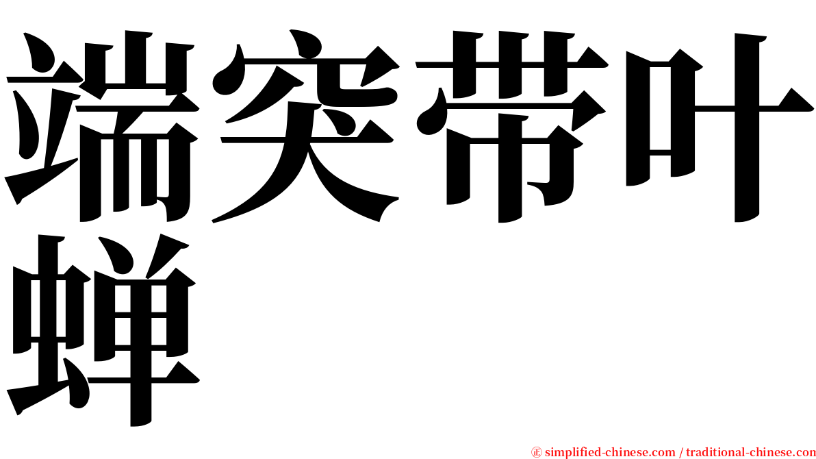 端突带叶蝉 serif font