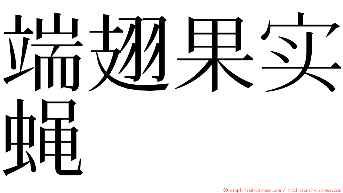 端翅果实蝇 ming font