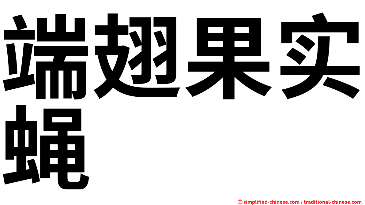 端翅果实蝇