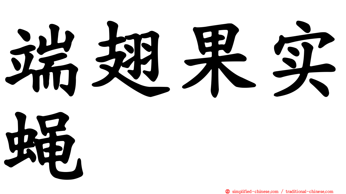 端翅果实蝇