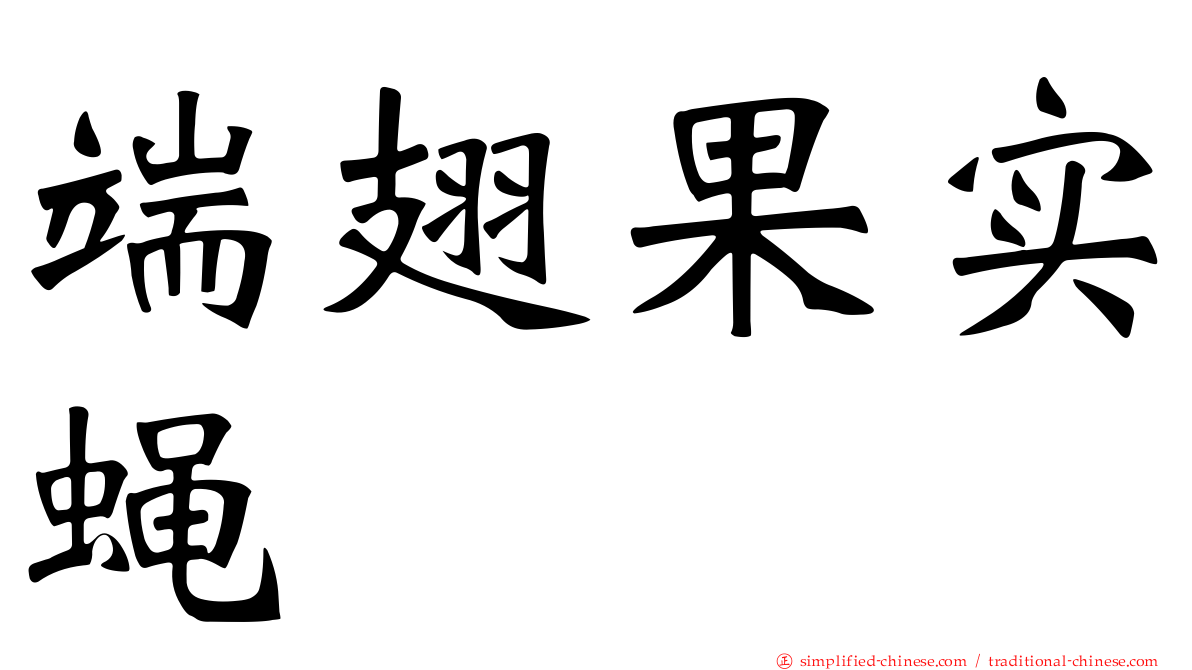 端翅果实蝇