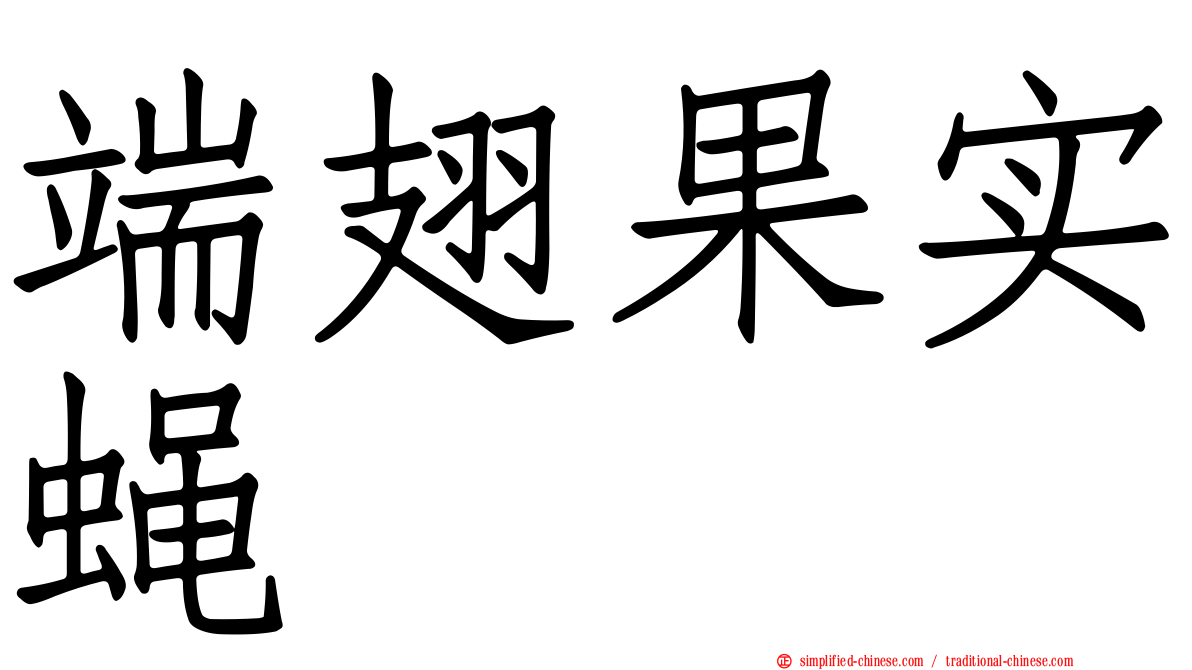 端翅果实蝇