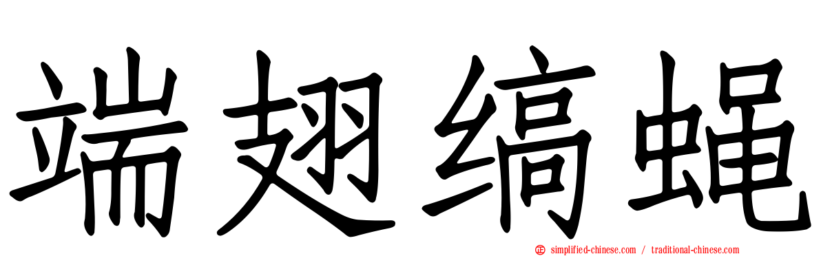 端翅缟蝇