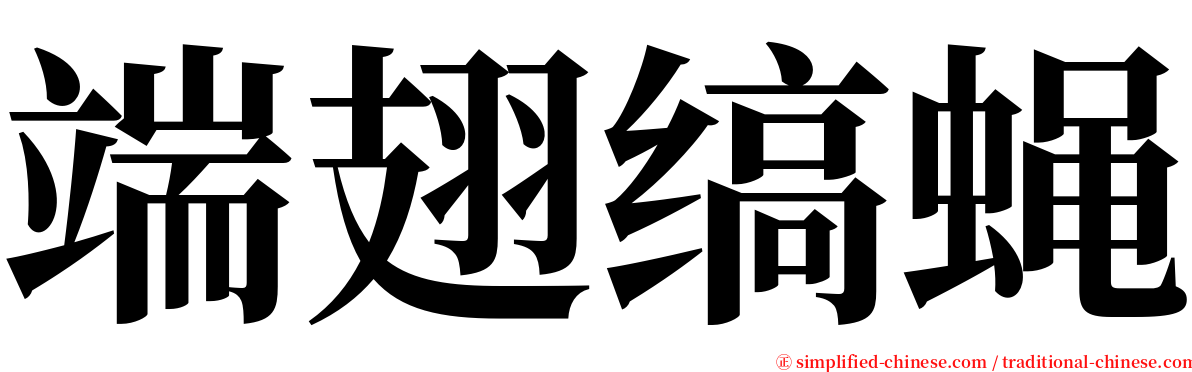 端翅缟蝇 serif font