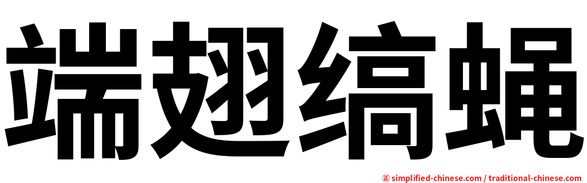 端翅缟蝇