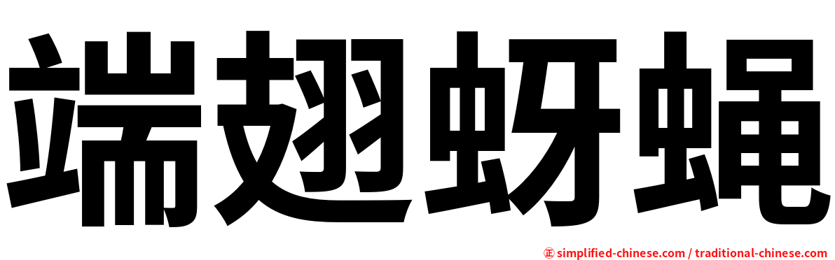 端翅蚜蝇