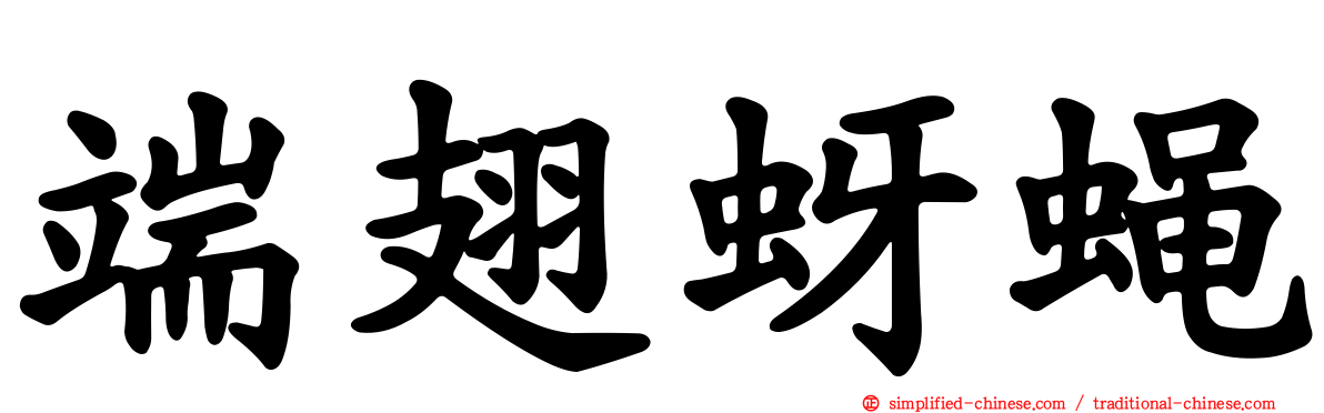 端翅蚜蝇