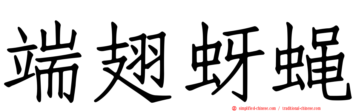 端翅蚜蝇