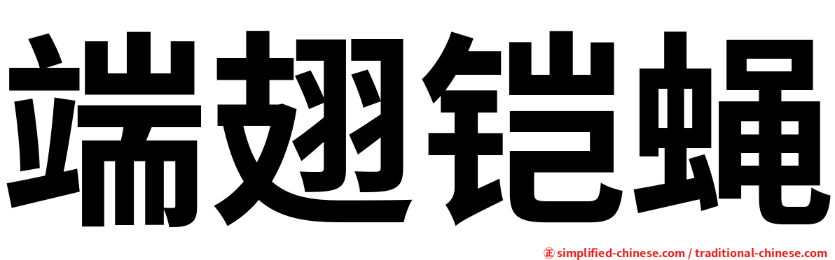 端翅铠蝇