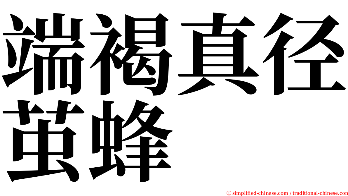 端褐真径茧蜂 serif font