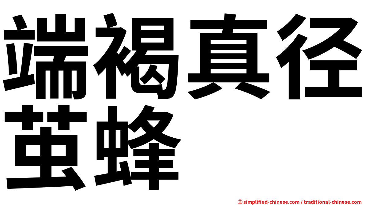 端褐真径茧蜂