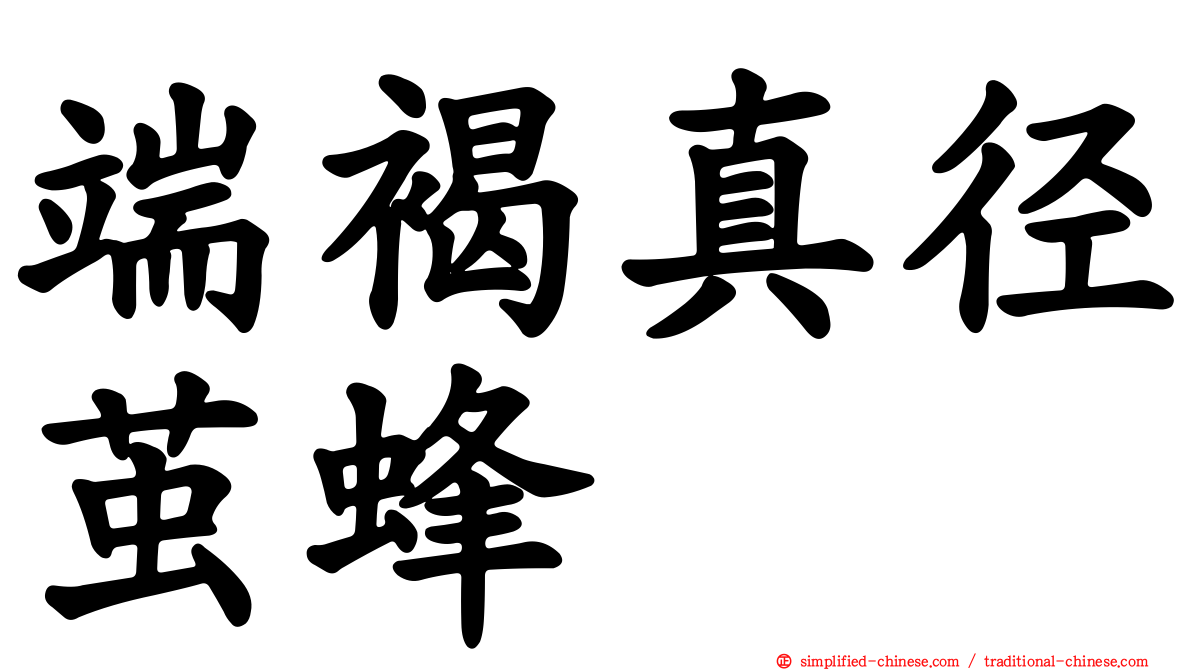 端褐真径茧蜂