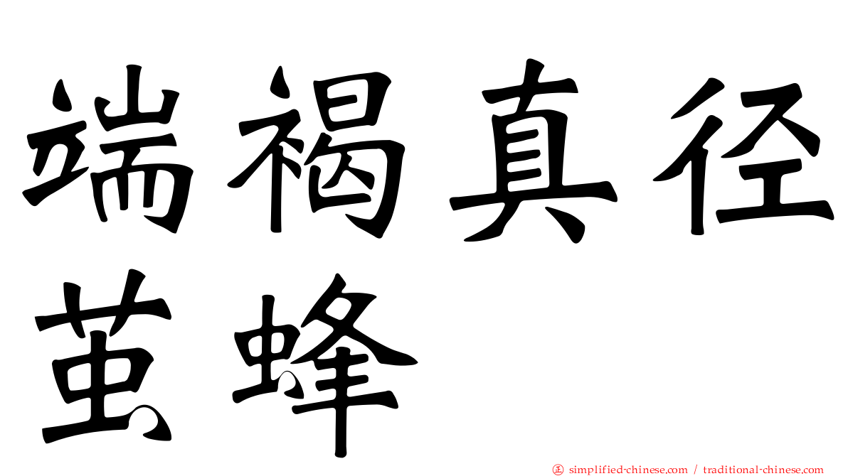 端褐真径茧蜂