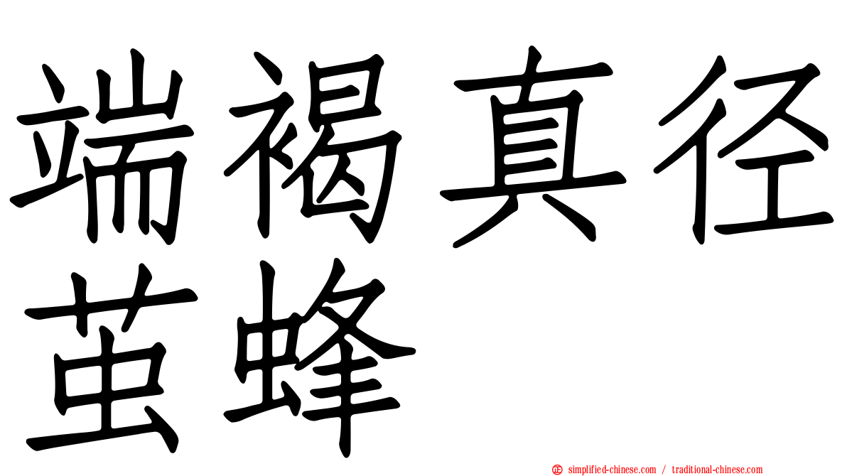 端褐真径茧蜂