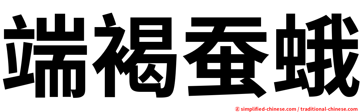 端褐蚕蛾