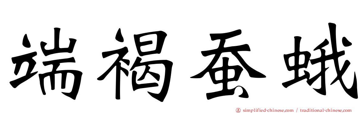 端褐蚕蛾
