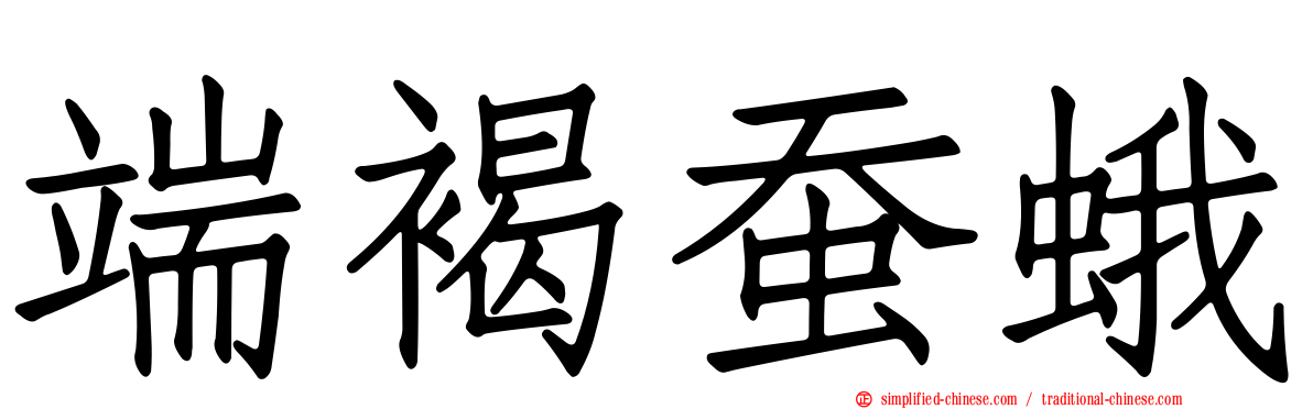 端褐蚕蛾