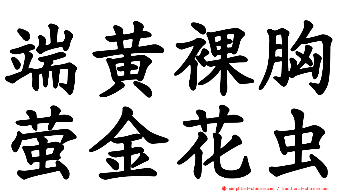 端黄裸胸萤金花虫