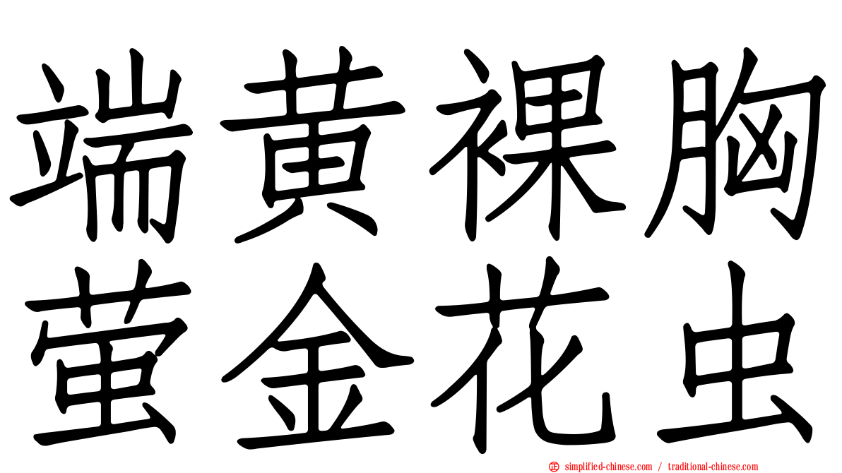端黄裸胸萤金花虫