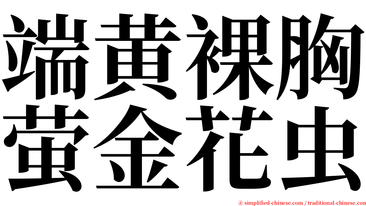 端黄裸胸萤金花虫 serif font