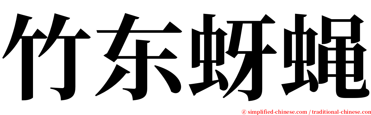 竹东蚜蝇 serif font