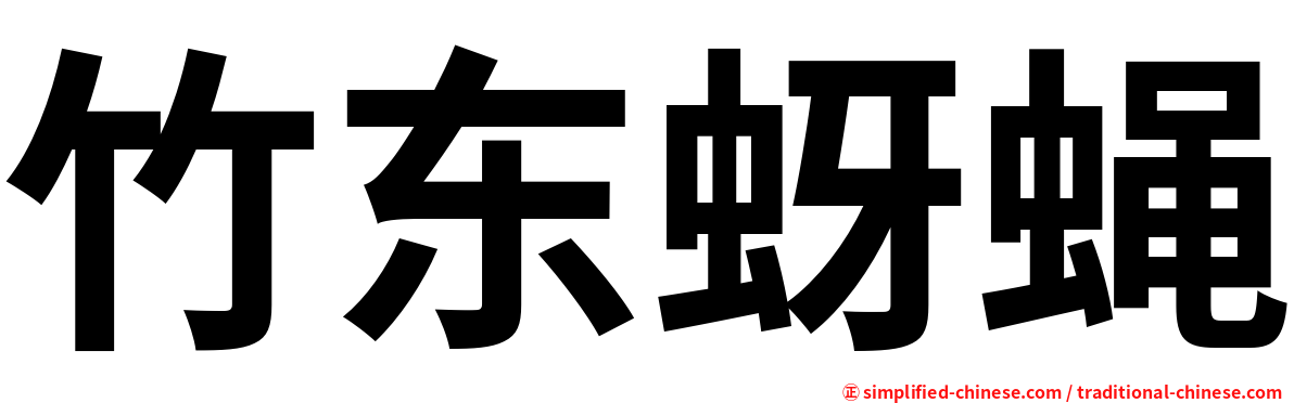 竹东蚜蝇