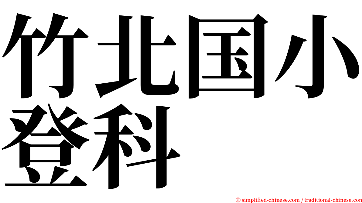 竹北国小登科 serif font