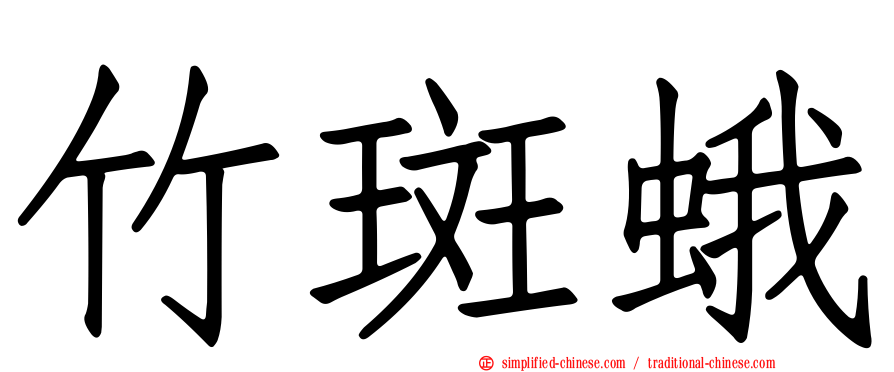 竹斑蛾